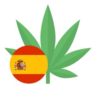 Aktualny stan prawny - Hiszpania