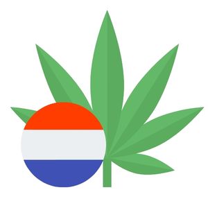Aktualny stan prawny - Holandia