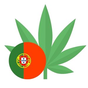 Aktualny stan prawny - Portugalia