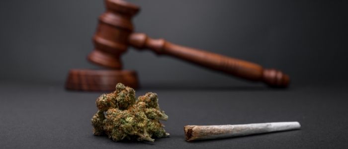 Marihuana - aktualny stan prawny