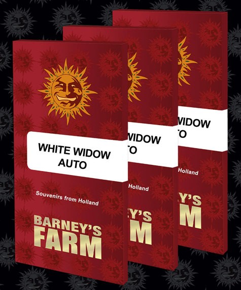 White Widow XXL Auto
