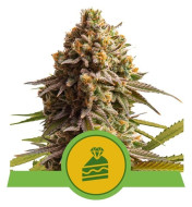 Wedding Cake Automatic