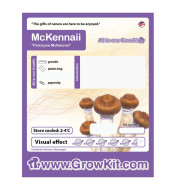 Growkit McKennaii Grzyby