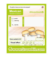 Growkit Mexican Grzyby