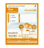 Growkit Thai Grzyby