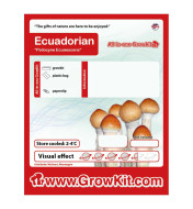 Growkit Ecuadorian Grzyby