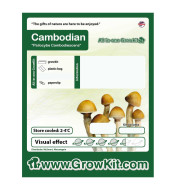 Growkit Cambodian Grzyby
