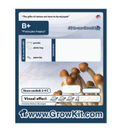 Growkit B Plus Grzyby