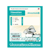 Growkit Hawaiian Grzyby
