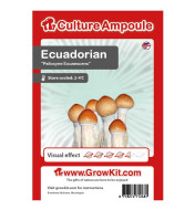 Zarodniki Ecuadorian