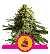 Wedding Cake (Bonus)