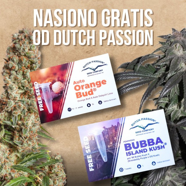Dutch Passion PROMO 3+1, 5+1, 7+1, 10+1
