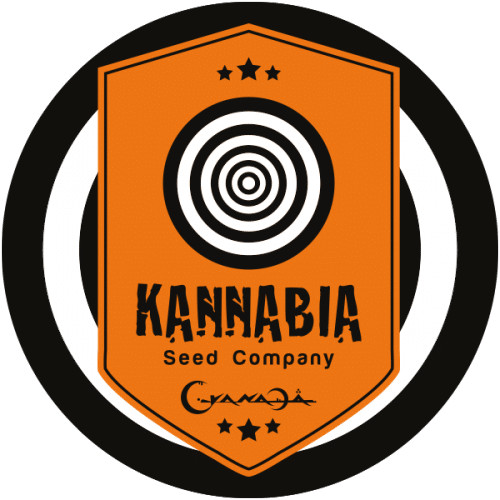 Kannabia Feminized Mix