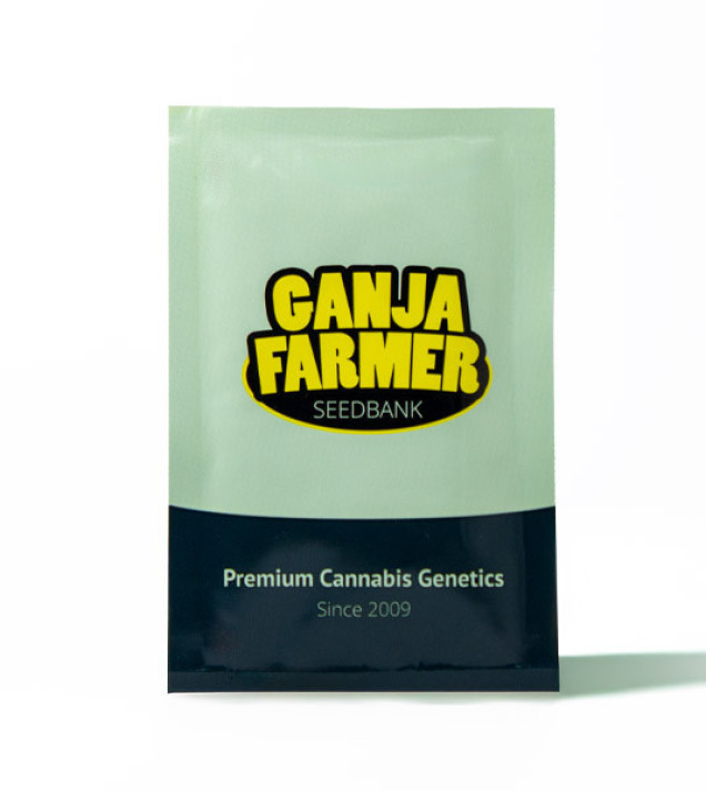 Critical 2.0 Auto - Ganja Farmer