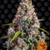 Strawberry Cheesecake Auto WYPRZEDAŻ