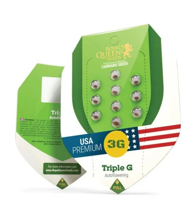 Triple G Auto WYPRZEDAŻ
