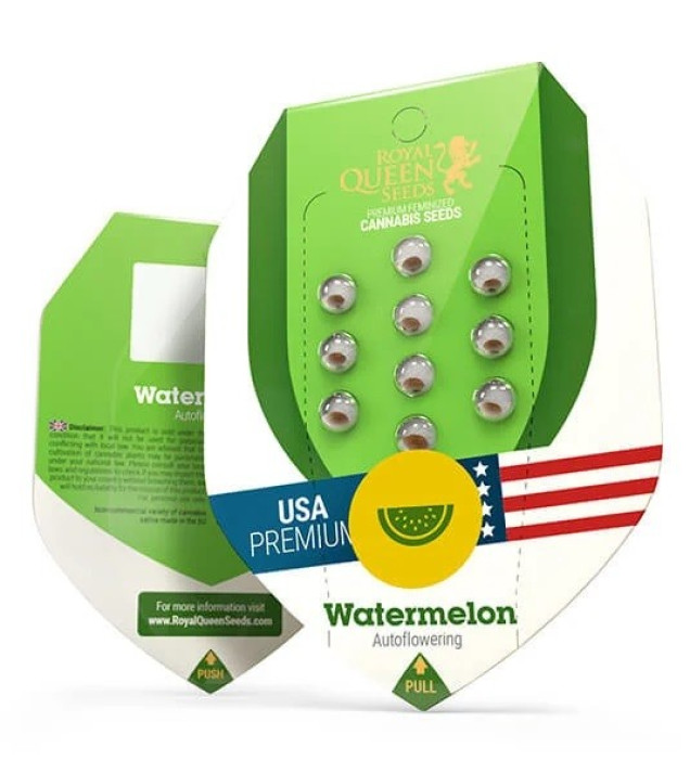 Watermelon Automatic WYPRZEDAŻ
