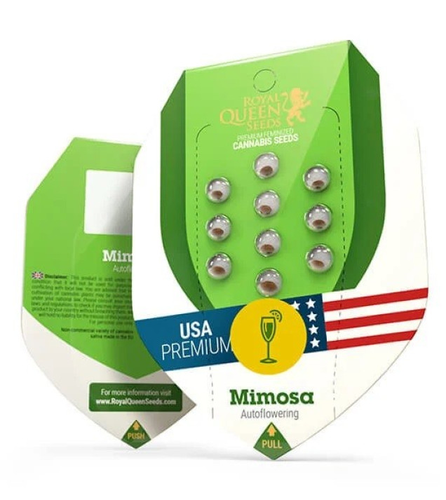 Mimosa Automatic WYPRZEDAŻ
