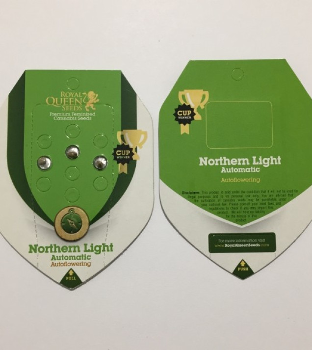 Northern Light Automatic WYPRZEDAŻ