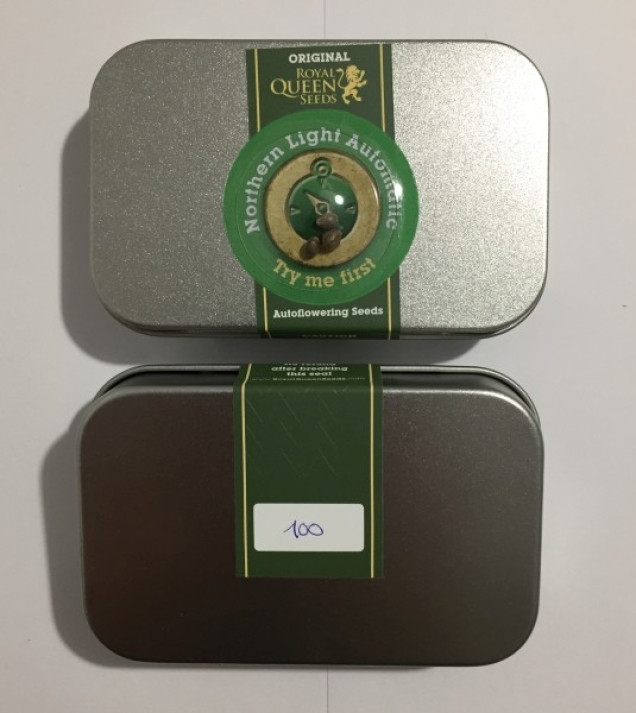 Northern Light Automatic WYPRZEDAŻ