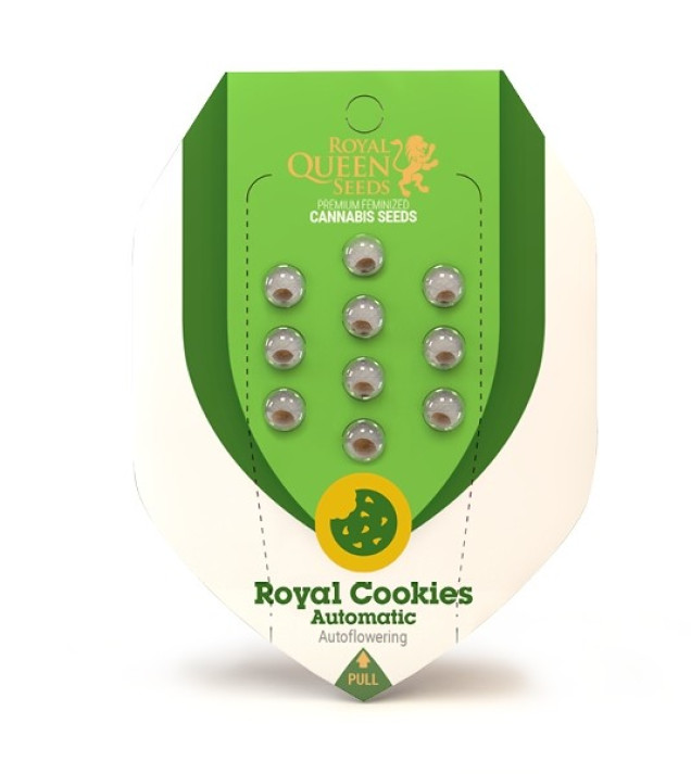 Royal Cookies Autoflowering WYPRZEDAŻ