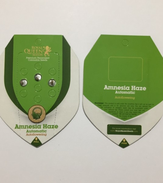 Amnesia Haze Automatic WYPRZEDAŻ