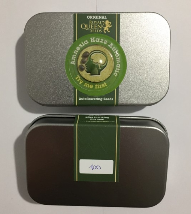 Amnesia Haze Automatic WYPRZEDAŻ