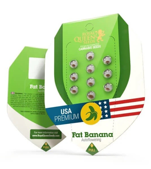 Fat Banana Automatic WYPRZEDAŻ