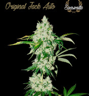 Original Jack Auto