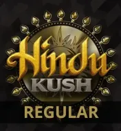 Hindu Kush Regular