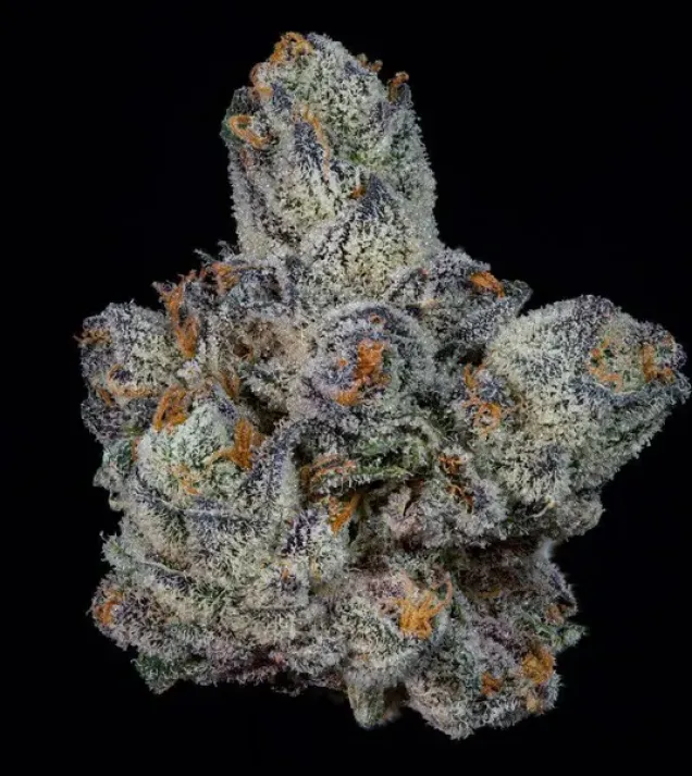 Lemon Fever