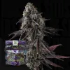 Fruit Riot