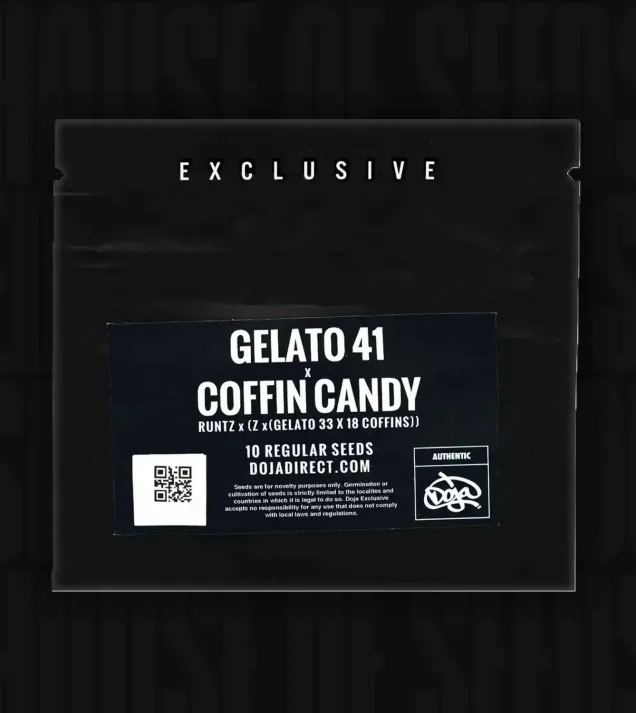 Gelato 41 x Coffin Candy Regular