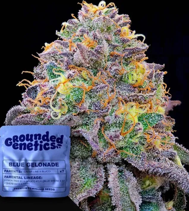 Blue Gelonade