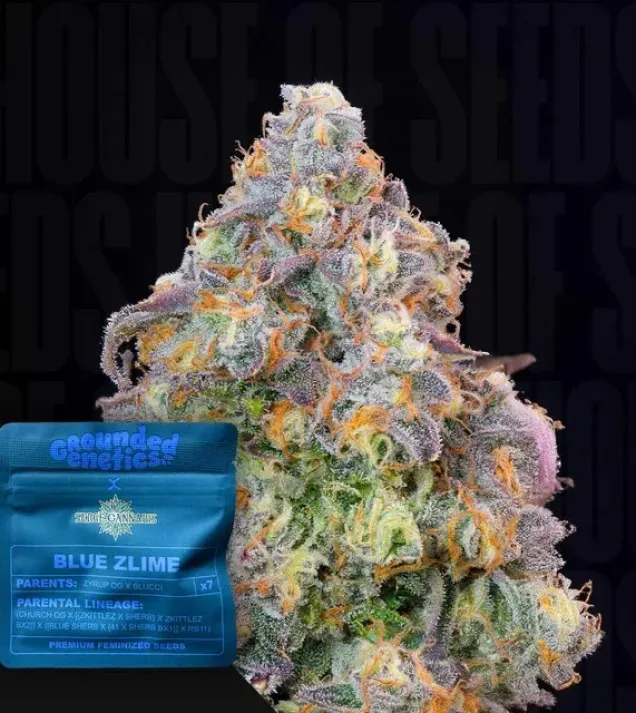Blue Zlime
