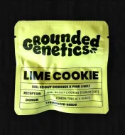 Lime Cookie