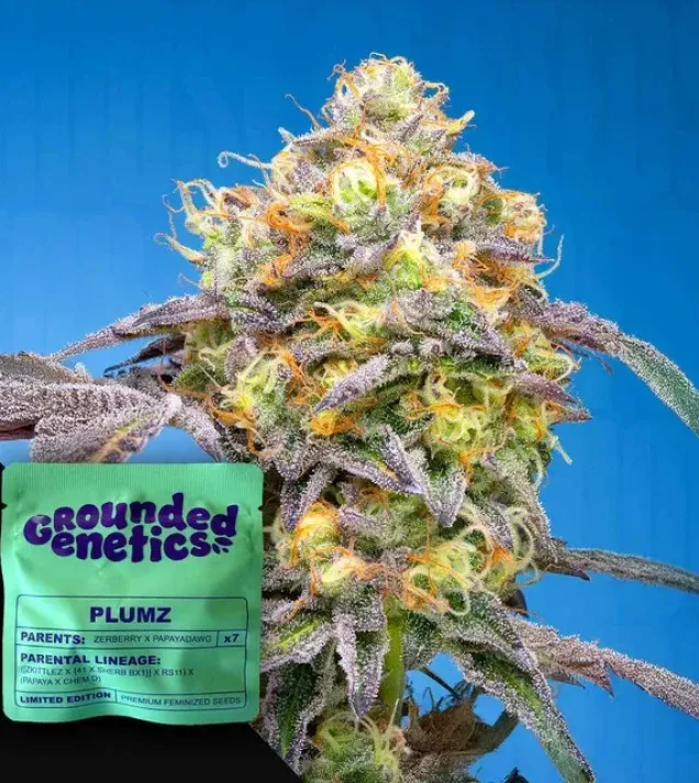 Plumz