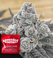Strawberry Gummys