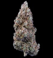 Bubbasquanch Auto