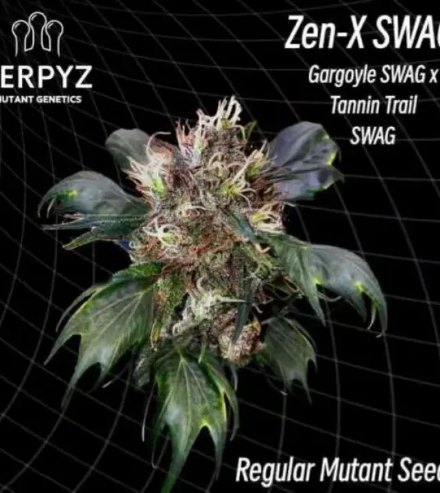 Zen-X Swag Regular