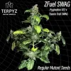 Zfuel Swag Regular