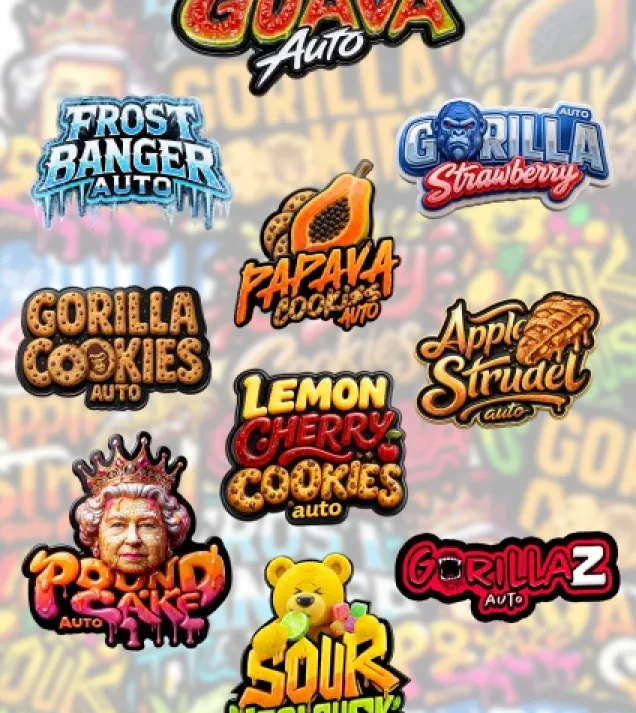Mix Pack Auto