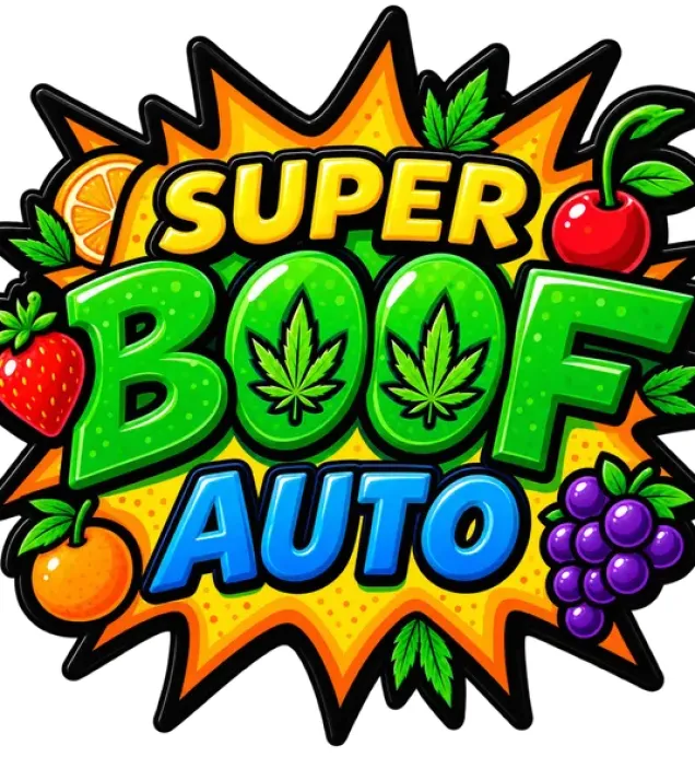 Super Boof Auto