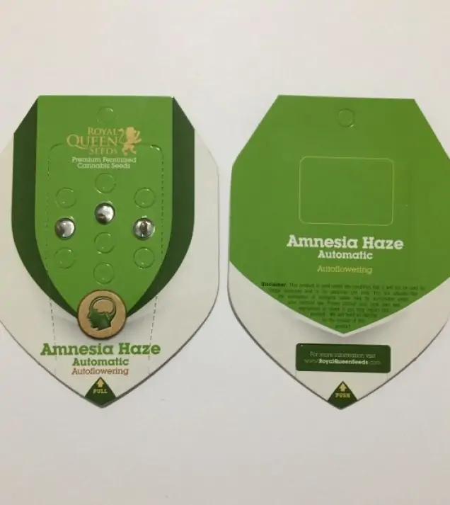 Amnesia Haze Automatic WYPRZEDAŻ