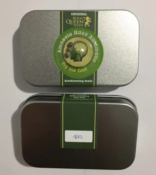 Amnesia Haze Automatic WYPRZEDAŻ