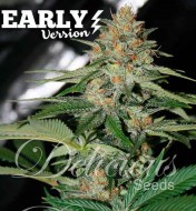 Delicious Candy Early Version