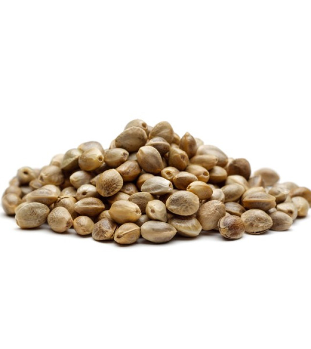 Test 109