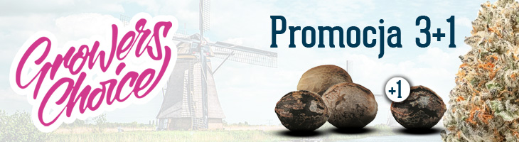 Growers Choice Nasiona w Promocji 3+1