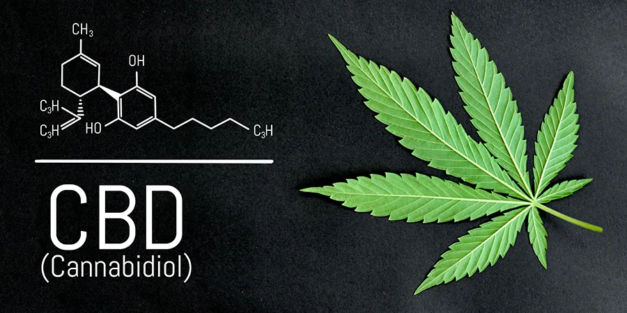 CBD