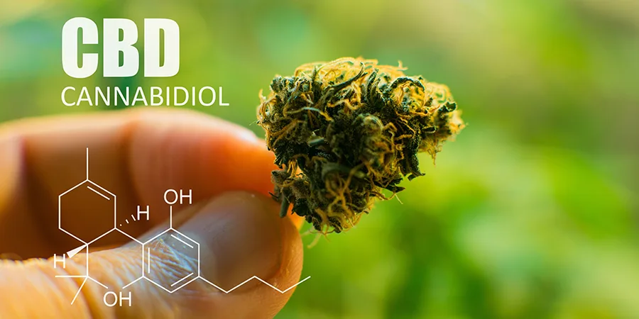 Co to jest CBD